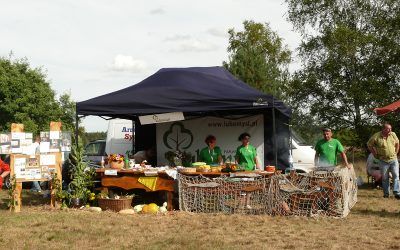 Harvest Festival 2012